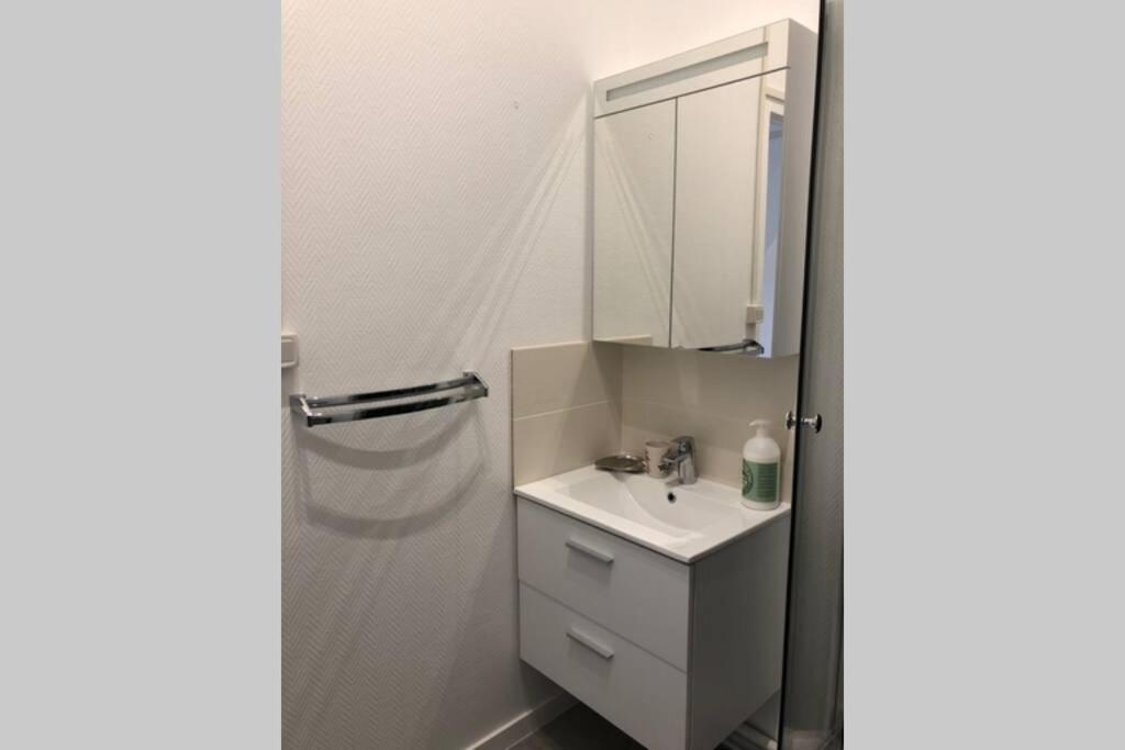 Villa Camelia Quartier Thermal Grand Studio Au Calme Vichy Dış mekan fotoğraf